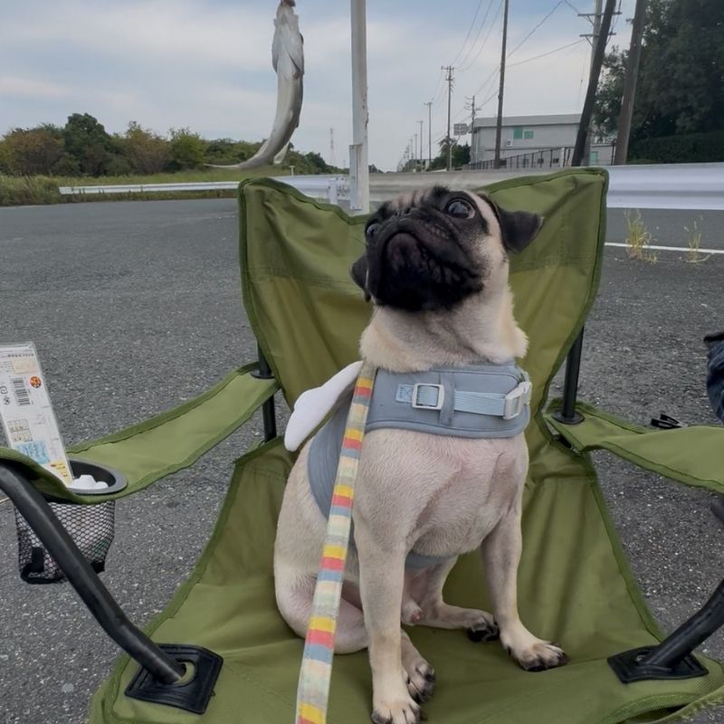 先輩社員の声5-4